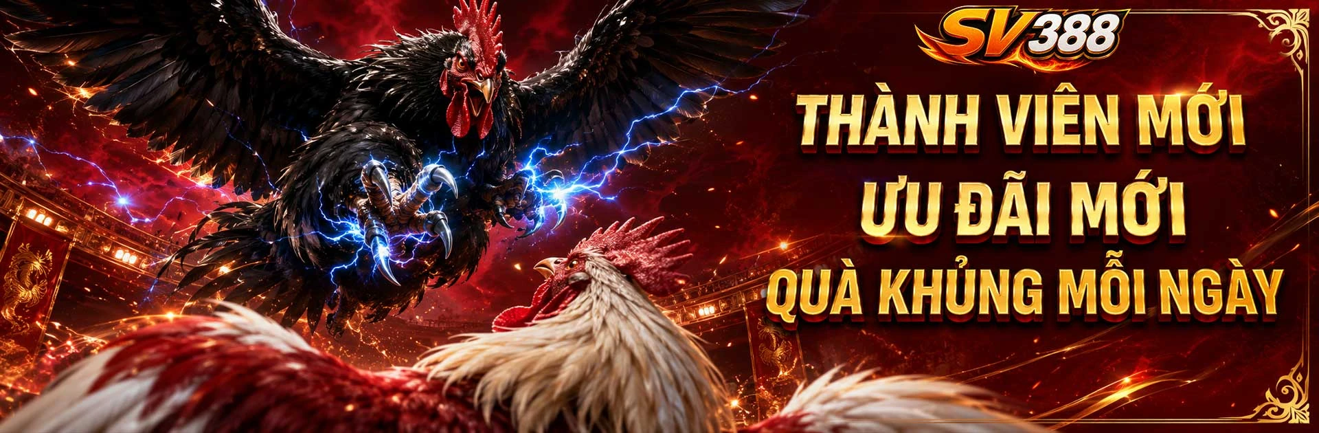 banner-sv388-3