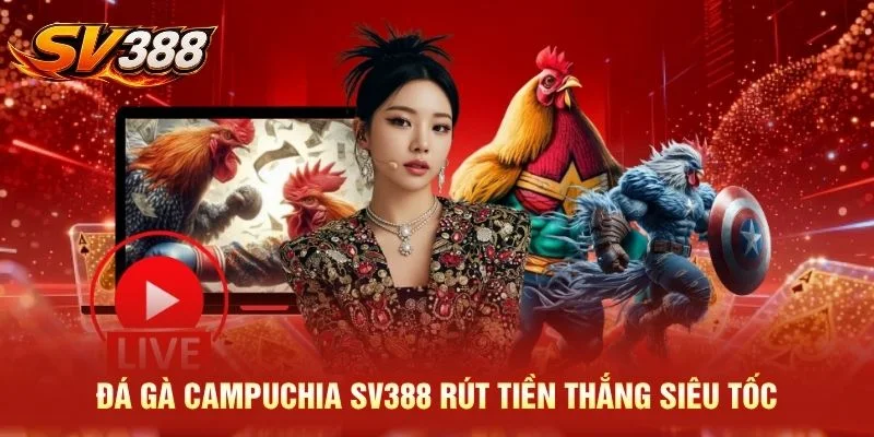 Đá gà Campuchia SV388 rút tiền thắng siêu tốc
