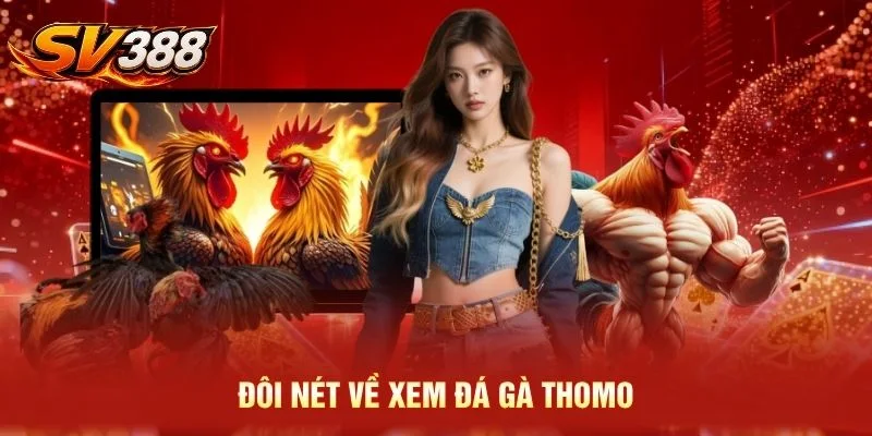 Đôi nét về xem đá gà Thomo
