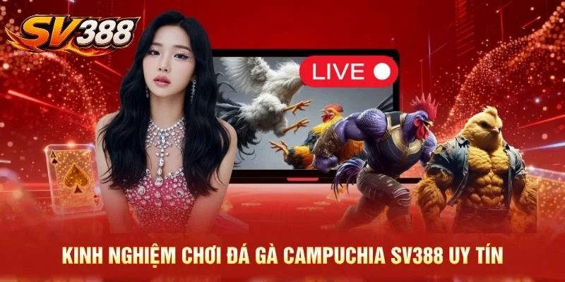 Kinh nghiệm chơi đá gà Campuchia SV388 uy tín