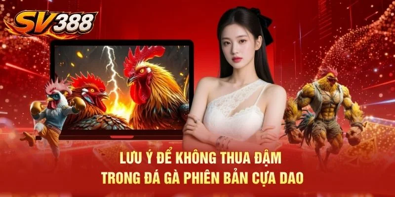 Lưu ý để không thua đậm trong đá gà phiên bản cựa dao
