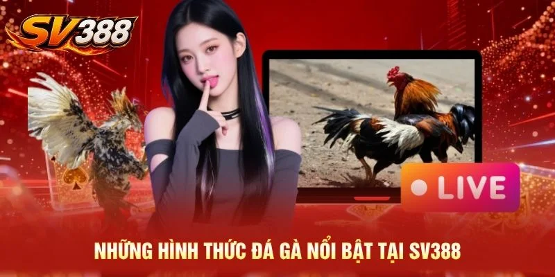 Những hình thức đá gà nổi bật tại SV388
