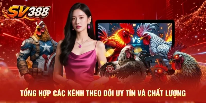 Tổng hợp các kênh theo dõi uy tín và chất lượng