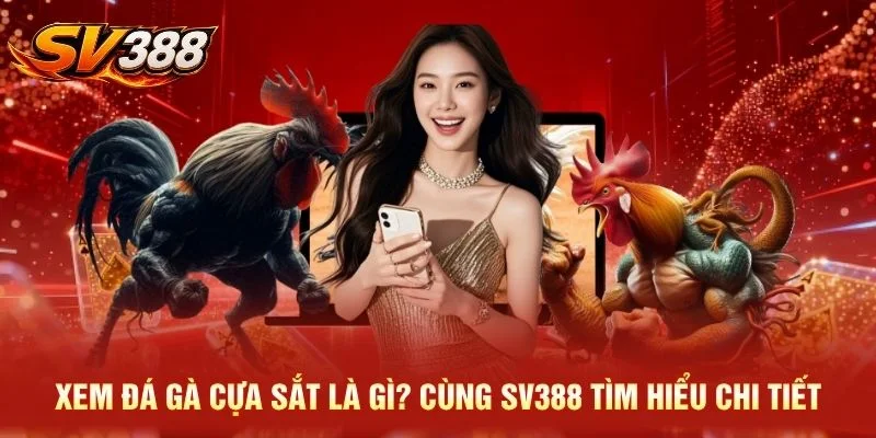 Xem Đá Gà Cựa Sắt Là Gì? Cùng SV388 Tìm Hiểu Chi Tiết